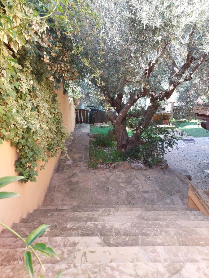 L'Orchidea Villa Capitana Exteriör bild